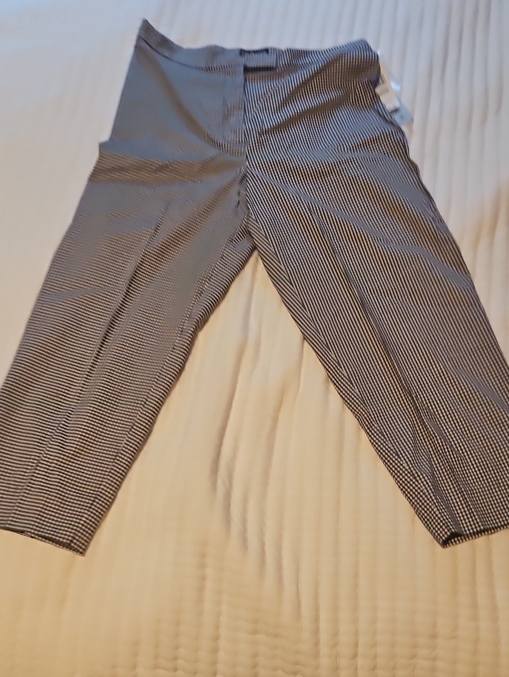 Style & Co. Women's Black and White Pinstripe Pants